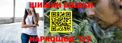 a pvp Гатчина