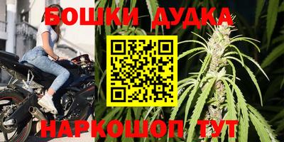 a pvp Гатчина