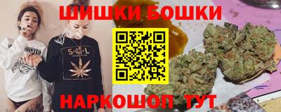 a pvp Гатчина