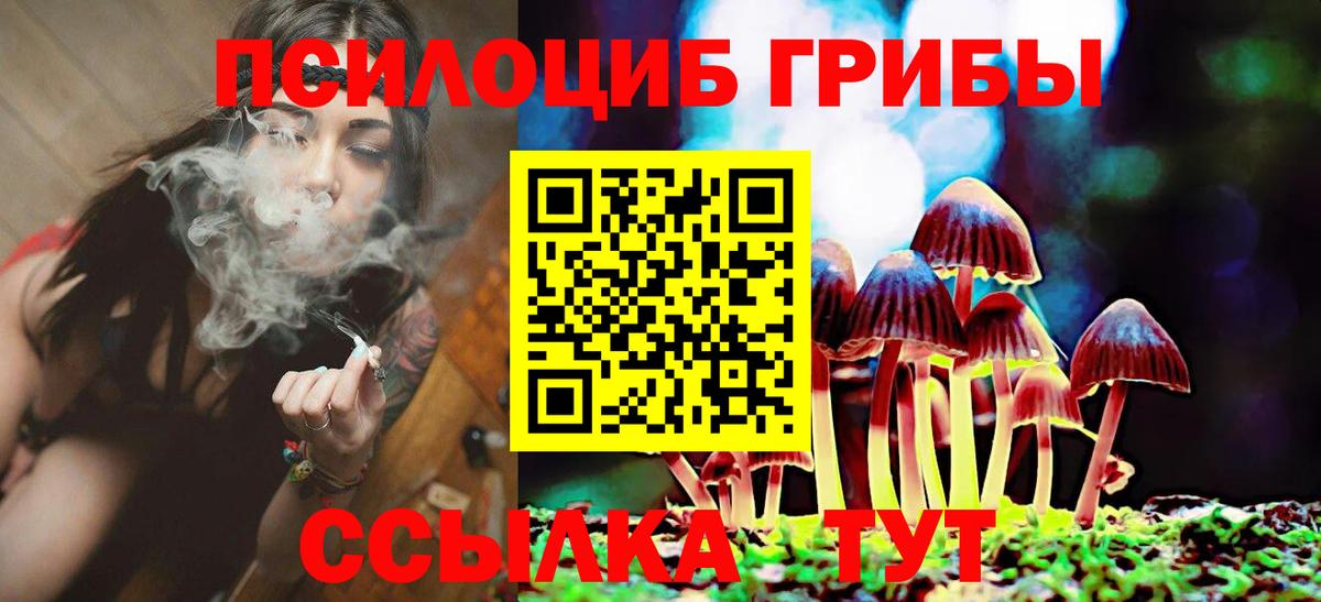 Псилоцибиновые грибы прущие грибы Кандалакша