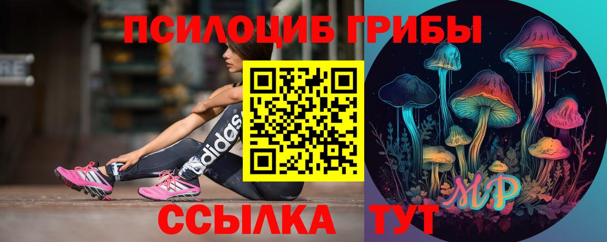 Конопля  A PVP СОЛЬ кристаллы  Кандалакша  ГАШ  Вход с VPN  МДМА  Кокаин  Мефедрон кристаллы 