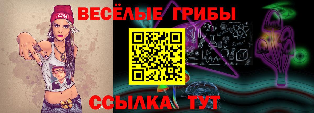 Кандалакша  Псилоцибиновые грибы Magic Shrooms  Вход с VPN 